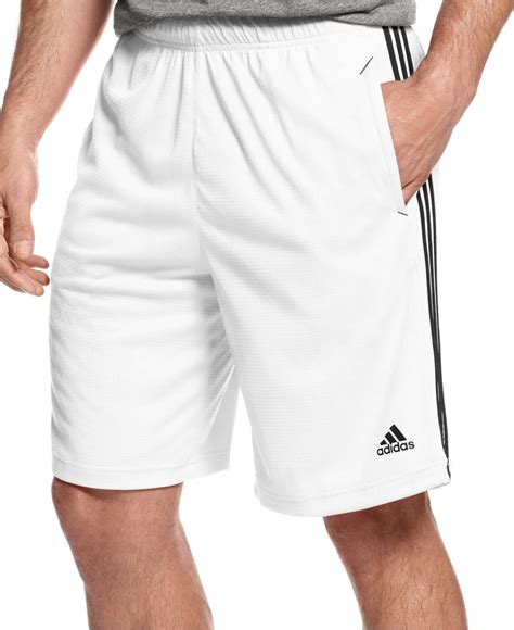 adidas shorts herren white|Adidas white shorts.